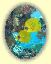 IMG_2007_05_28 14_13_32 * 1704 x 2272 * (516KB)